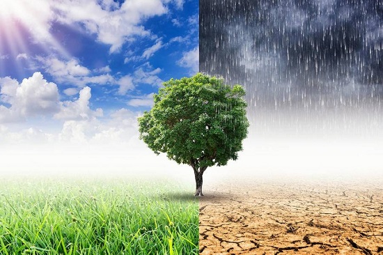 Rainfall statistics of 2023